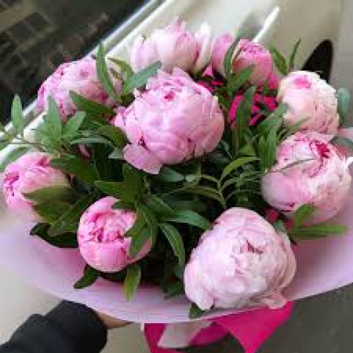 Пион древовидный в Текели