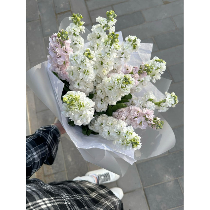 Маттиола в Текели