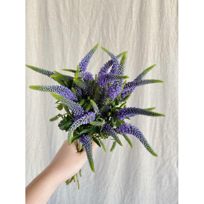 Вероника в Текели