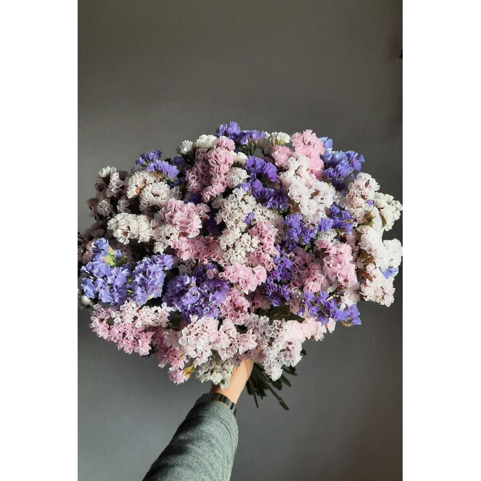 Статица (Лимониум) в Текели