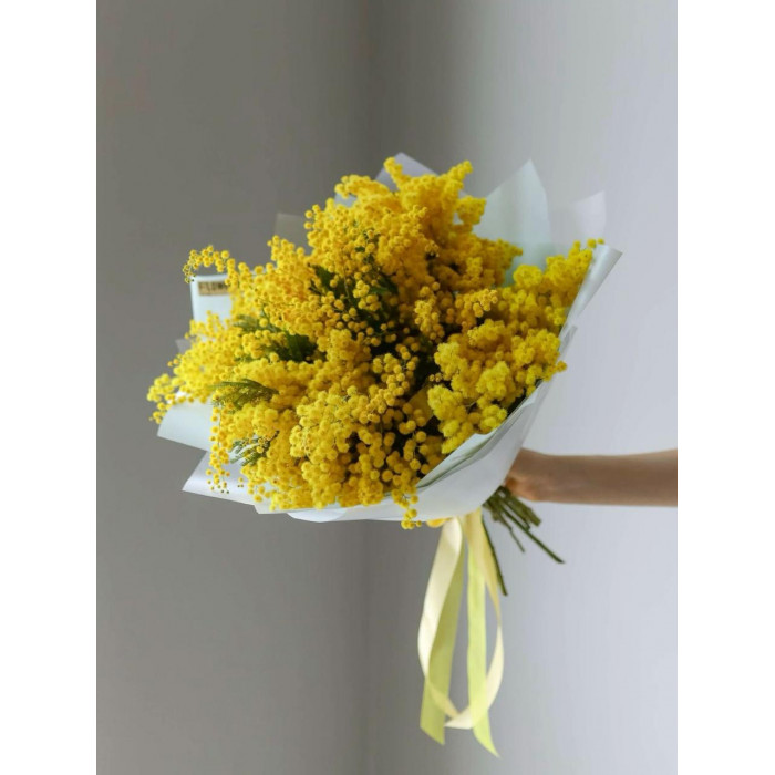 Мимоза в Текели