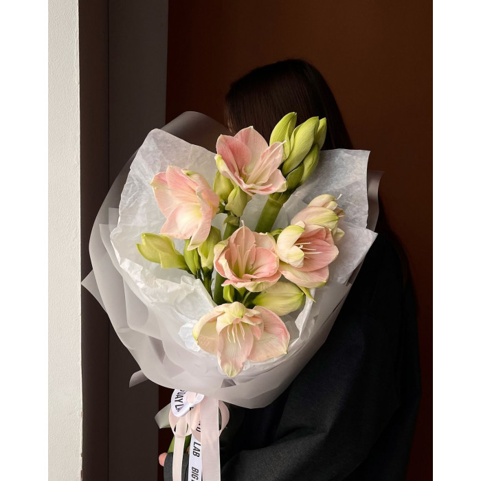 Амариллис в Текели