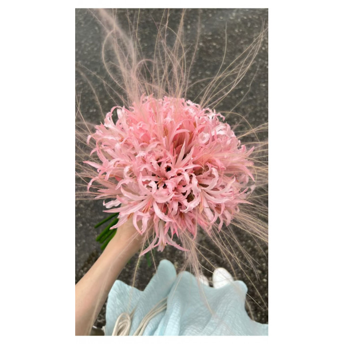 Нерине в Текели