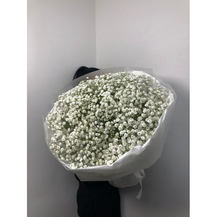 Гипсофила классическая в Текели