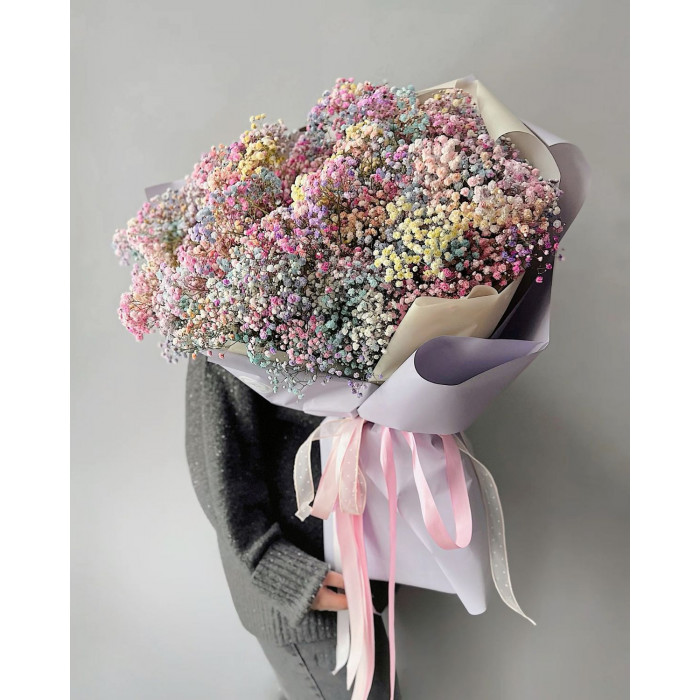 Гипсофила цветная в Текели