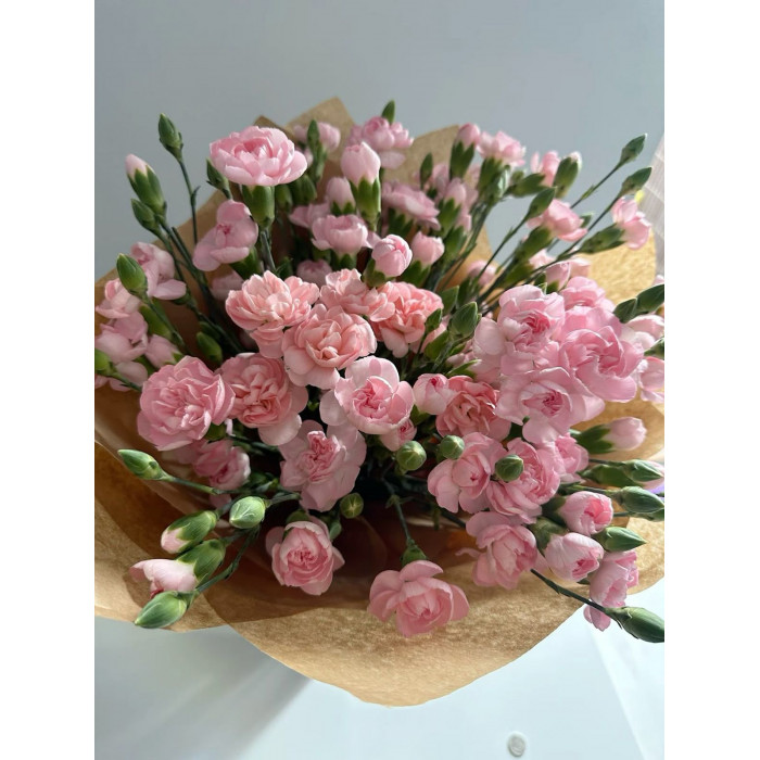 Кустовые гвоздики в Текели