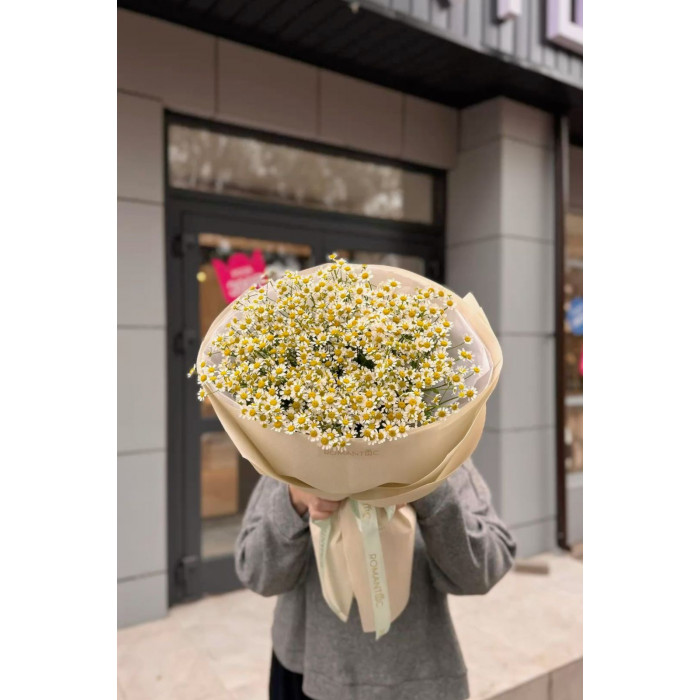 Танацетум в Текели